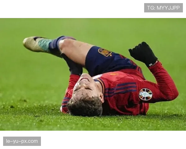 加维十字韧带康复进展解析 加维十字韧带康复进展解析