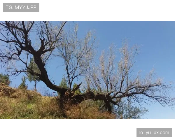 柳雅慧私下衣柜比我房子还豪，赛场上却像隔壁姑娘在打工